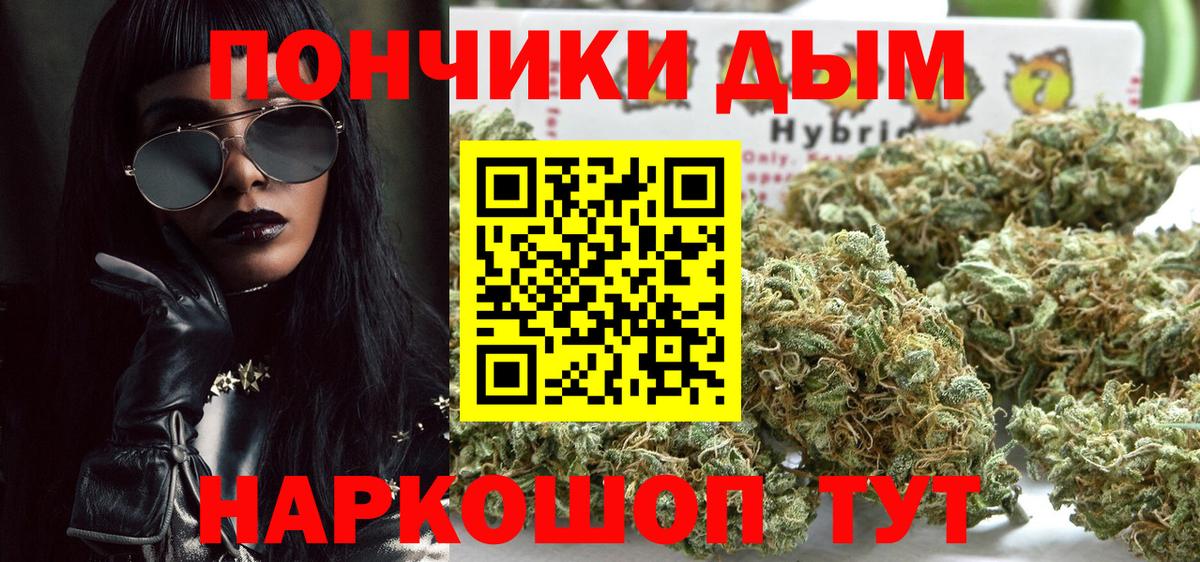 Бошки марихуана сатива  Марихуана сатива  Новоалександровск  Вход с VPN 